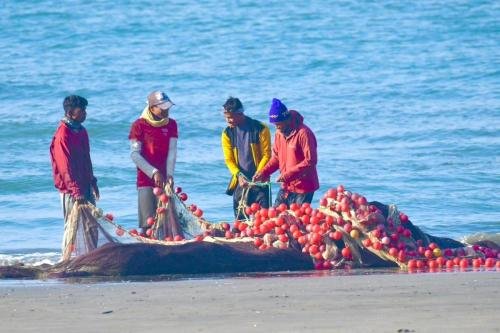Fishing at Bay by MM